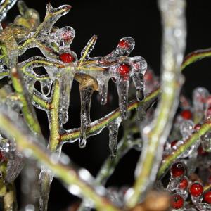 Frozen Frozen