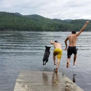 Dog Dock Dive Dog Dock Dive