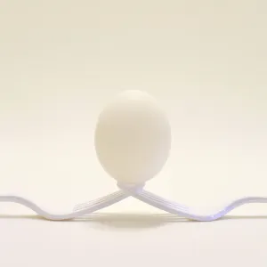 White on White White on White