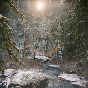 Silver Falls State Park Silver Falls State Park