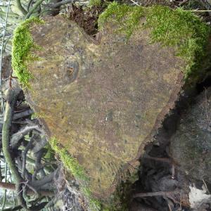 Natuurlijke Liefde Natuurlijke Liefde
