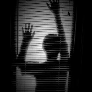 Shadow Prey Shadow Prey