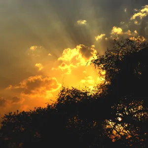 Rays of Hope Rays of Hope