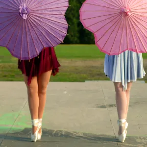 Twin Ballerina's Twin Ballerina's