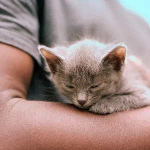 warm arm warm arm