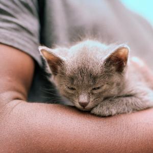 warm arm warm arm