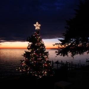 Bay Christmas Bay Christmas