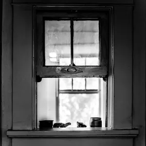 The Window The Window