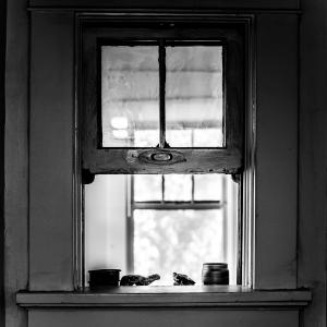 The Window The Window