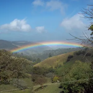 Beauty at the End of the  Beauty at the End of the