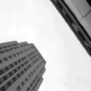 Looking Up Looking Up