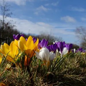 Welcome Springtime! Welcome Springtime!