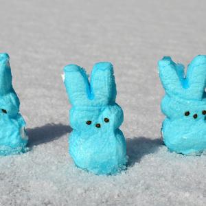 Snow Sweet Snow Sweet