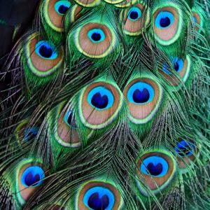 All Eyes On You All Eyes On You