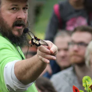 Butterfly release Butterfly release