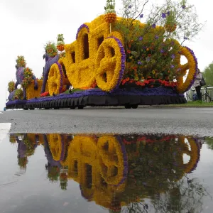 flower parade flower parade