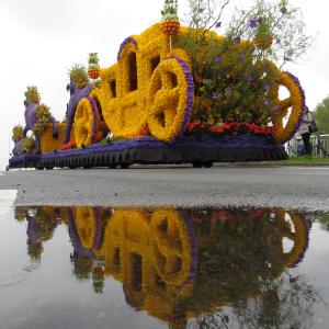 flower parade flower parade