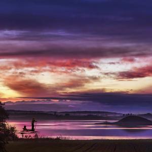 Purple Evening Purple Evening