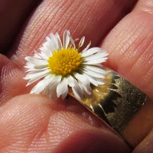 a grandchilds gift a grandchilds gift