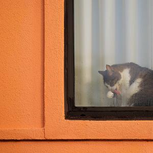 Window Clean Up Window Clean Up