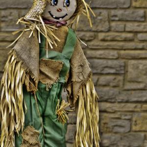Happy Scarecrow Happy Scarecrow