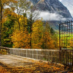 Autumn Glory Autumn Glory