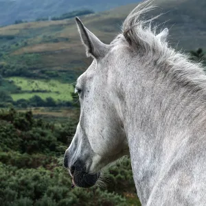 Vista Point Vista Point