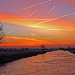 Goodmorning Winter Goodmorning Winter