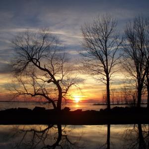 Winter Reflection Winter Reflection