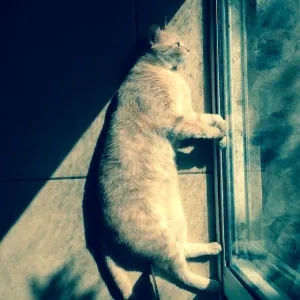 Contemplation reflection Contemplation reflection