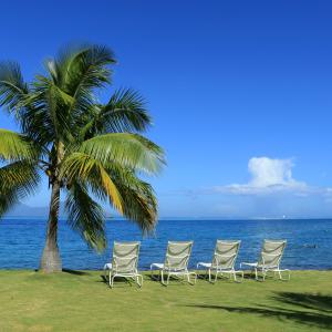 Invitation to Paradise Invitation to Paradise