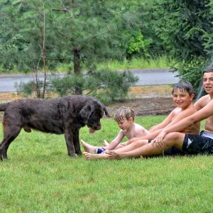 Summer fun Summer fun