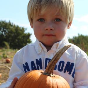 The Perfect Pumpkin The Perfect Pumpkin