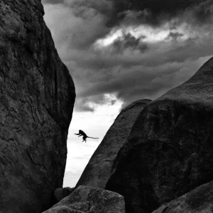 Leap of Faith Leap of Faith