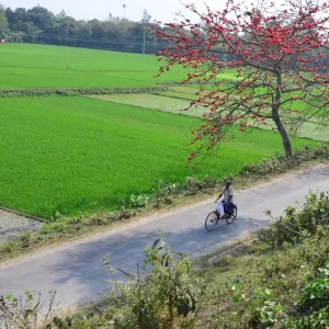 Cyclist Cyclist