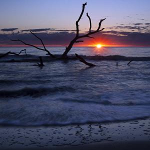 Sunset Hunting Sunset Hunting