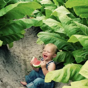 Pure Joy Pure Joy