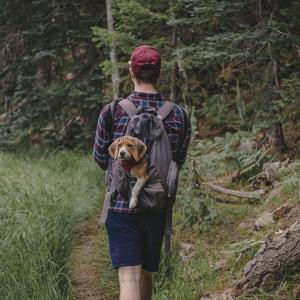 Pup’s First Hike Pup’s First Hike