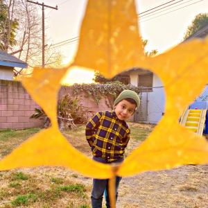 Sonshine Sonshine