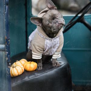 Sweater Weather Sweater Weather