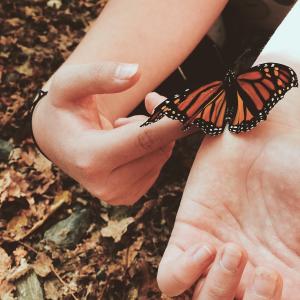 Gentle Kindness Gentle Kindness
