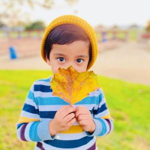 Even leaves fall for you Even leaves fall for you