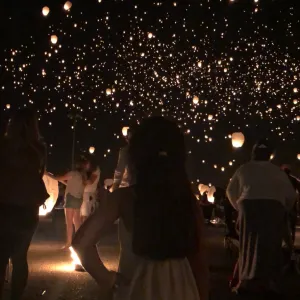 Lantern Festival Lantern Festival