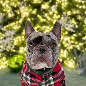 Pro Tip: Santa still comes if you’ve been naughty Pro Tip: Santa still comes if you’ve been naughty