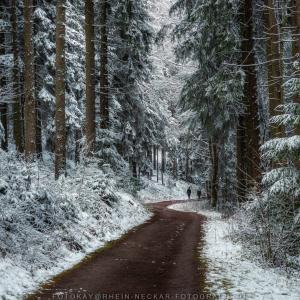 Wintermood - Unterwegs im Odenwald. Wintermood - Unterwegs im Odenwald.