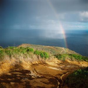 The Rainbow Before a Downpour The Rainbow Before a Downpour