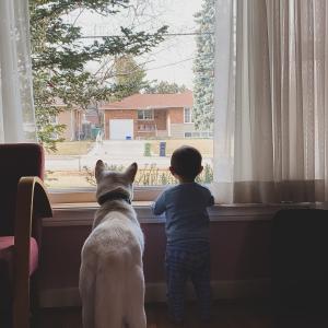 STAY AT HOME STAY AT HOME