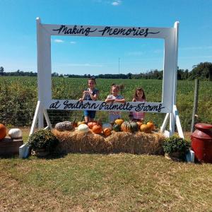 Fall festival Fall festival