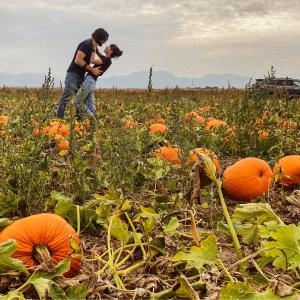 5 fun facts about pumpkins 5 fun facts about pumpkins