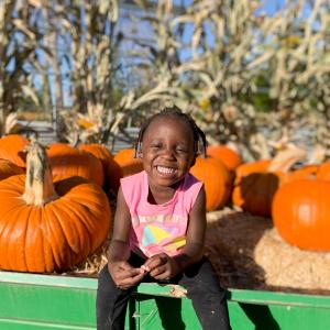 Fall festival Fall festival